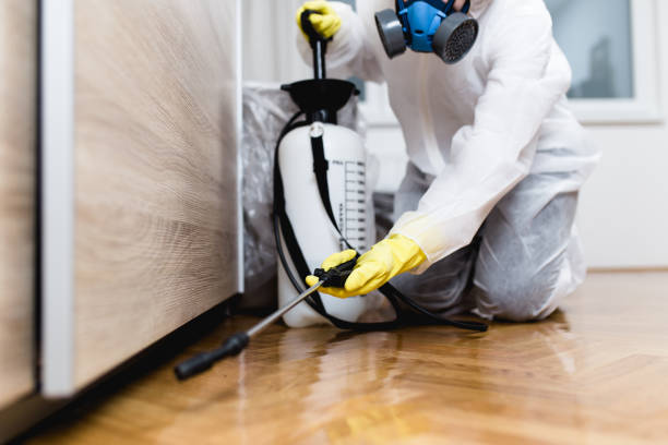 Best Insect Control  in Broadview Park, FL
